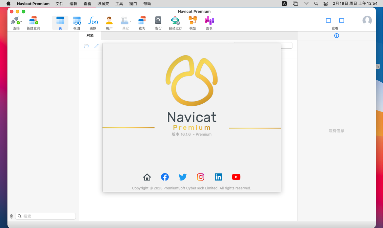 Navicat Premium 16.2.5 for Mac 数据库管理工具 中文汉化下载插图