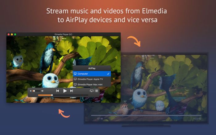 Elmedia Player Pro 8.16 Mac破解版 媒体播放器下载插图