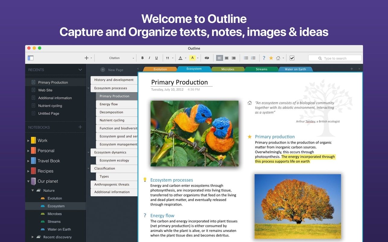 Outline 3.2302 mac好用的笔记本软件下载插图
