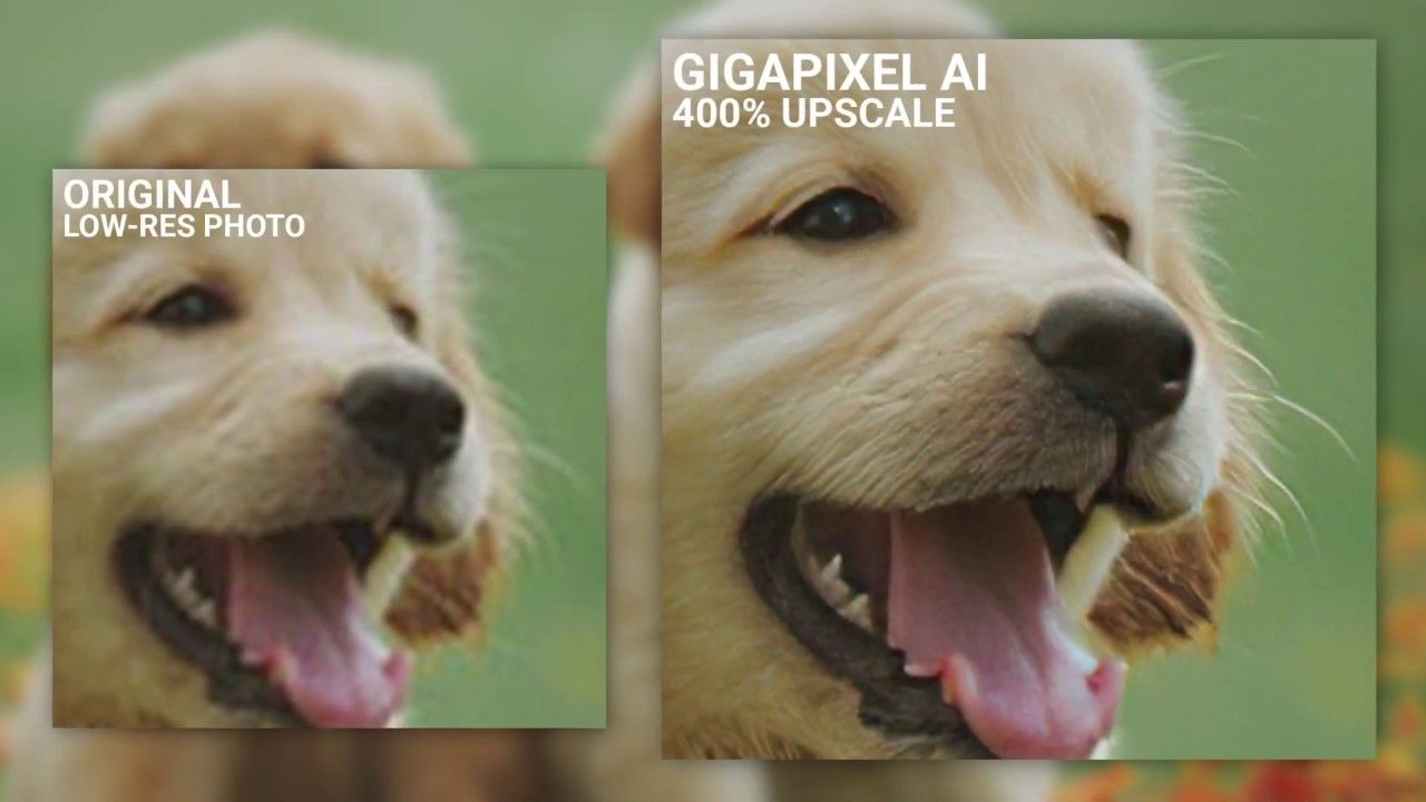Topaz Gigapixel AI 6.3.0 Win人工智能图片处理软件下载插图