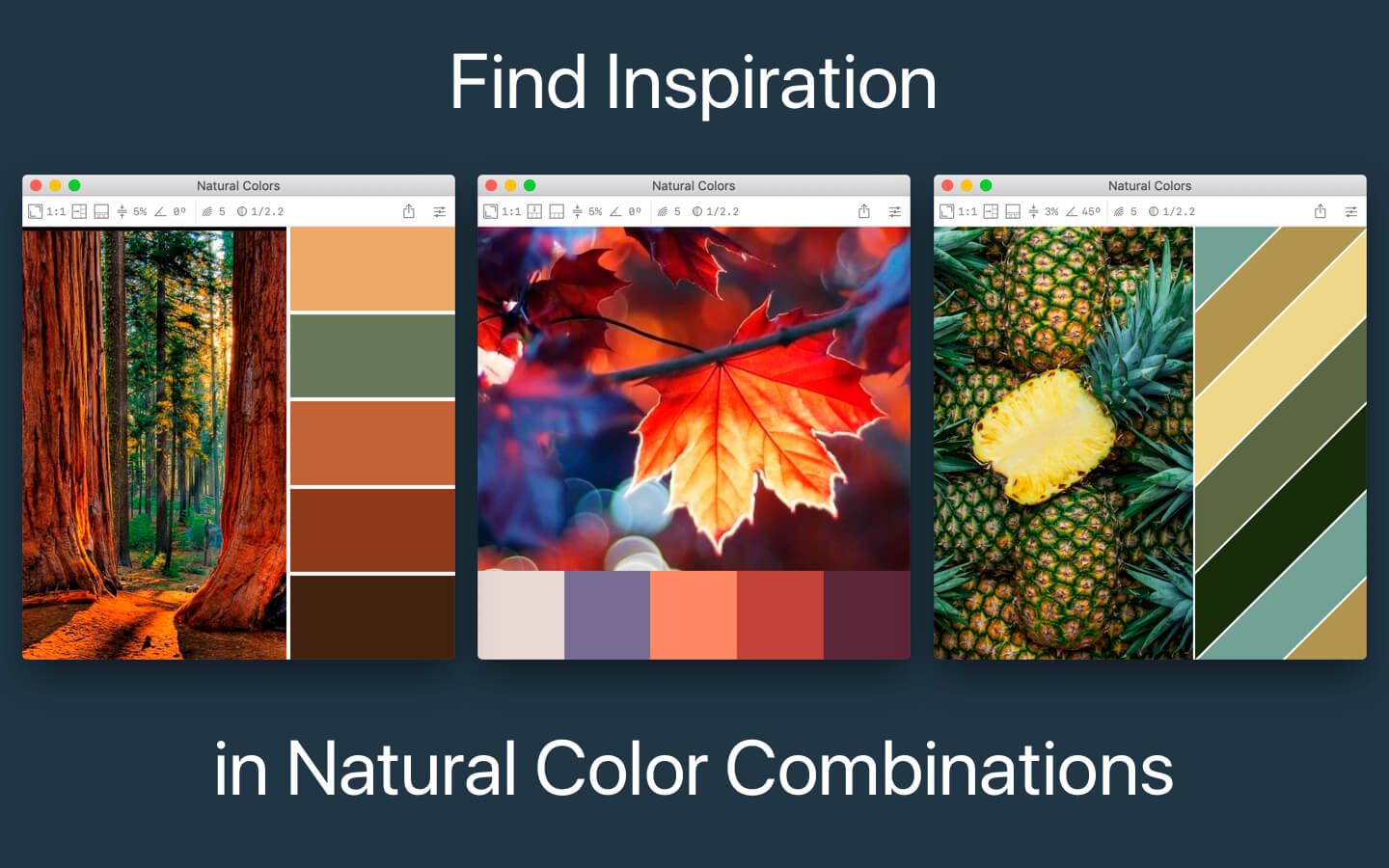 Color Palette from Image Pro 2.2.1 Mac查看图像色值下载插图