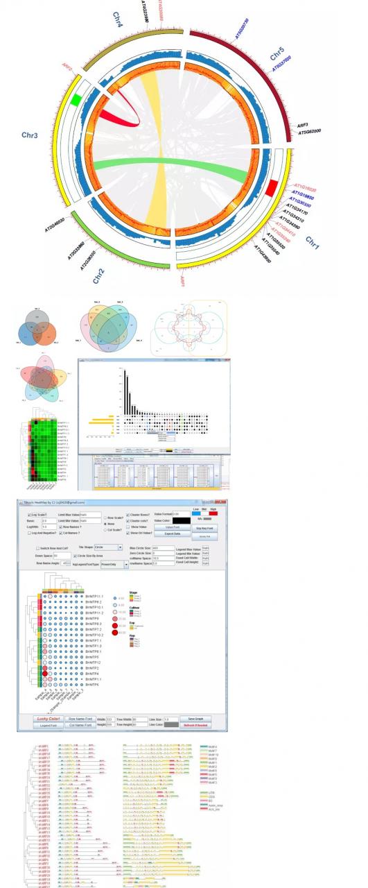 TBtools 2022 for Mac/Linux/Win 开源的生物数据处理工具软件下载插图