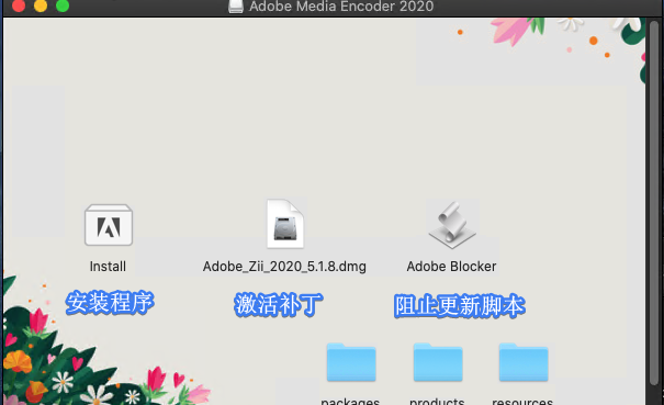 Adobe Media Encoder 2020 v14.0.4.16 Mac/Win 转码软件下载插图1