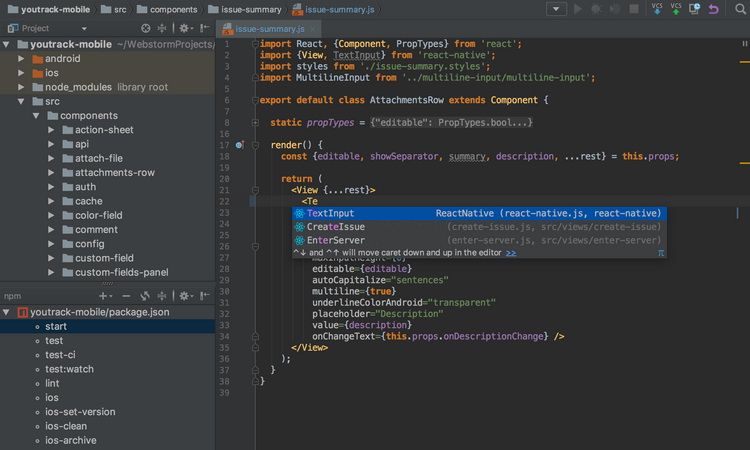 JetBrains WebStorm 2019.3.4 Windows/Linux/Mac智能集成开发环境下载插图