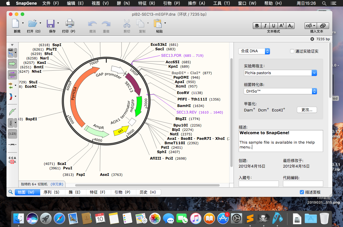 GSL Biotech SnapGene 4.3.6 for Mac 分子生物学软件 注册机 破解版下载插图