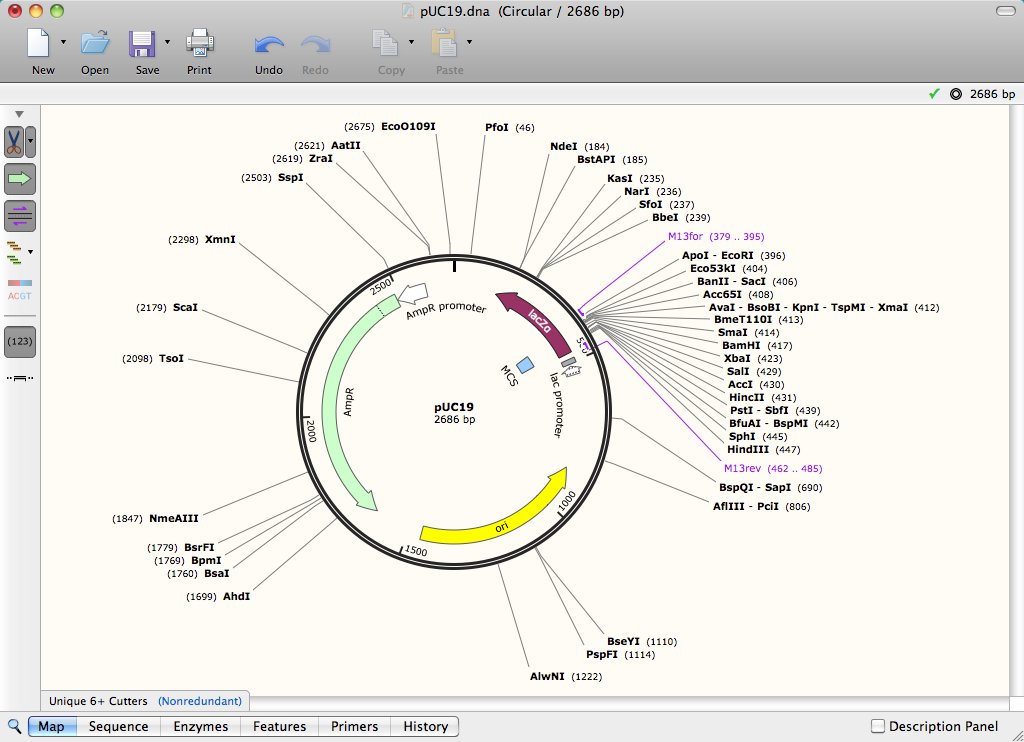 GSL Biotech SnapGene 4.2.4 for Mac 分子生物学软件 破解版下载插图