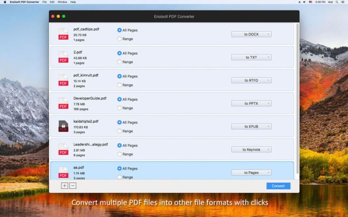 Enolsoft PDF Converter with OCR 6.0.0 Mac 完美激活版下载插图