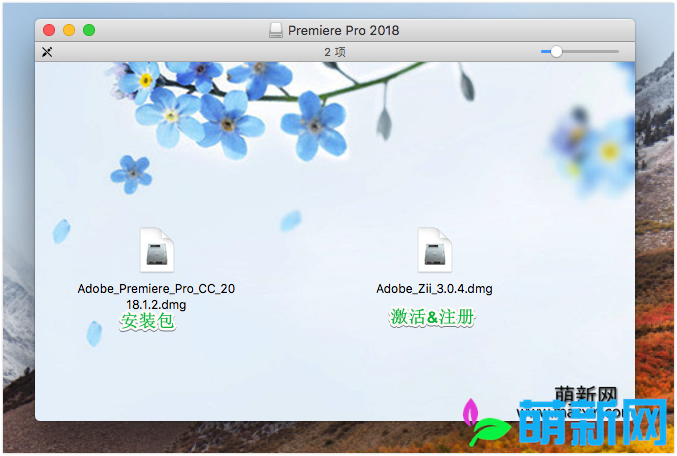 Adobe Premiere Pro for Mac CC 2018.1.2 完美激活版 中文多语言版下载插图2