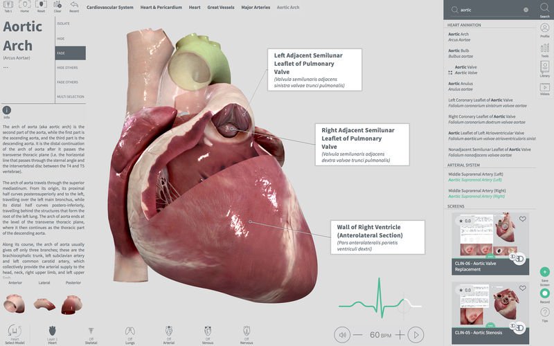 Complete Heart 1.2 for Mac强大的3D心脏解剖图 生物医学软件下载插图1