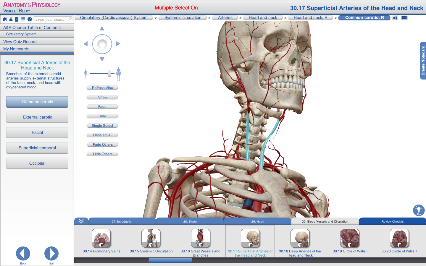 Anatomy  Physiology  3.0.17 Mac 完美激活破解版 人体解剖软件 下载插图1
