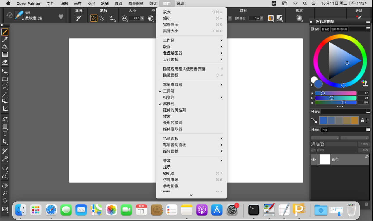 Corel Painter 2021 Mac多语言 中文汉化版 绘图软件下载插图