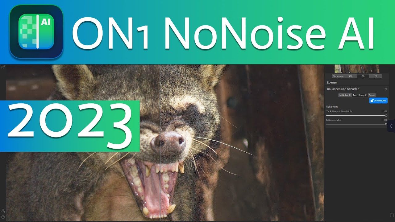 ON1 NoNoise AI 2023 v17.0.2 Mac 图片人工智能降噪软件下载插图