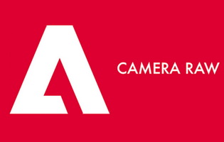 Adobe Camera Raw 10.1 for Win / macOS