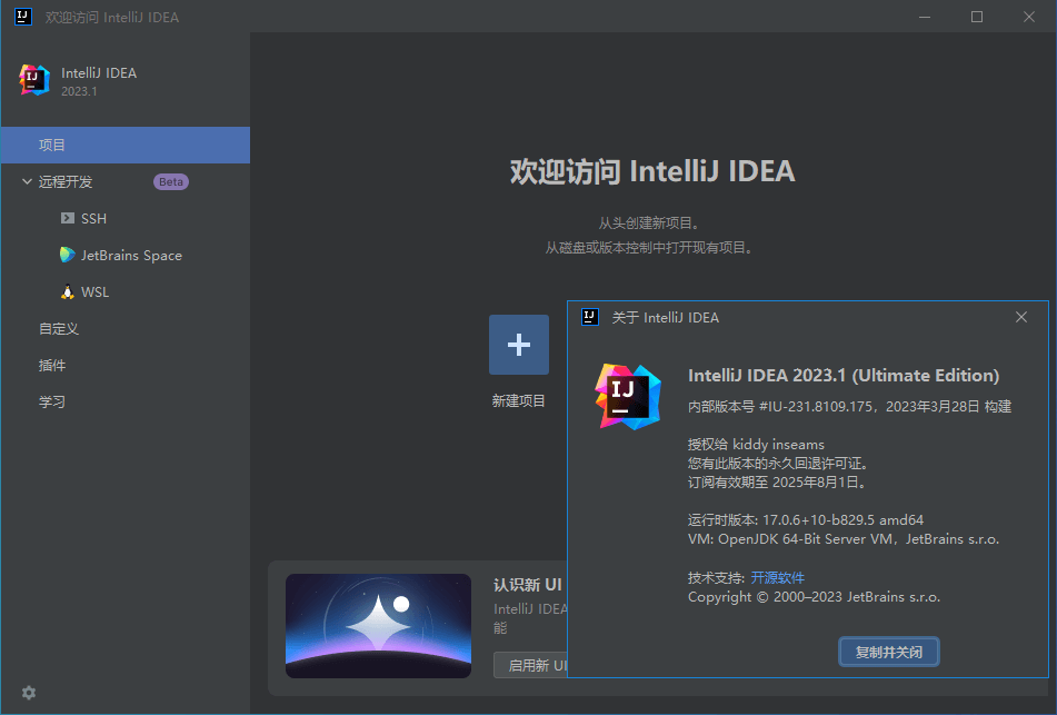 IntelliJ IDEA 2023.2.4 IDea2023中文激活版下载