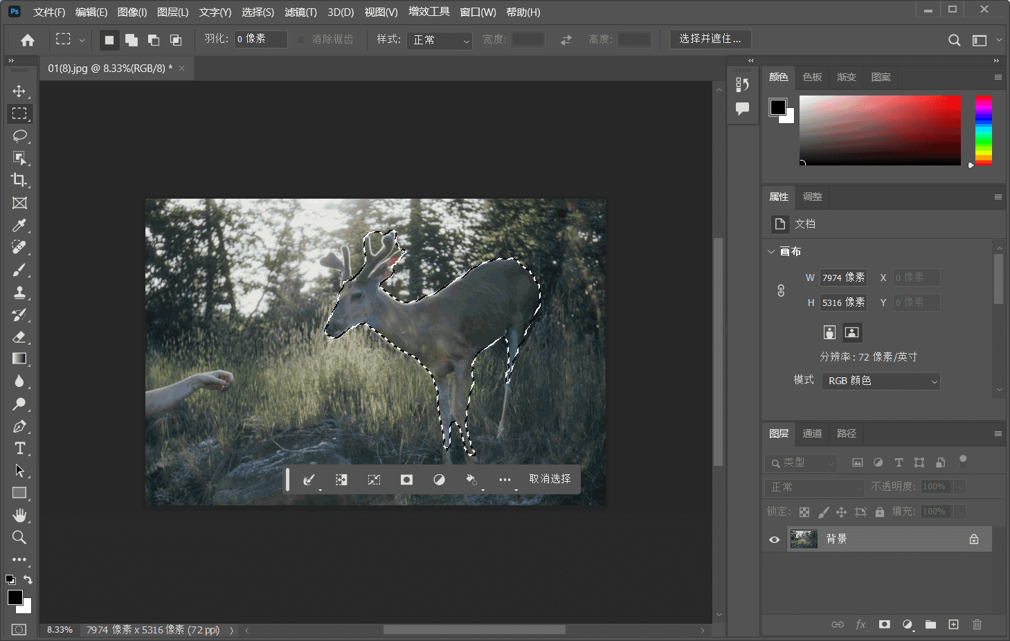 Adobe Photoshop 2024 25.1.0.120 激活版下载