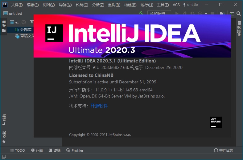 IntelliJ IDEA 2020.3.3 Ultimate 永久旗舰版下载